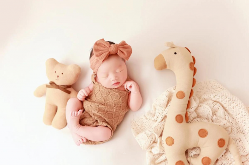 乌海宝宝虾的做法 乌海宝宝虾的做法